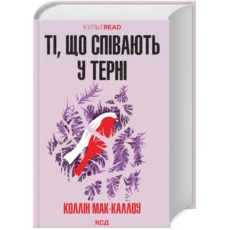 Без назви, копія (12)